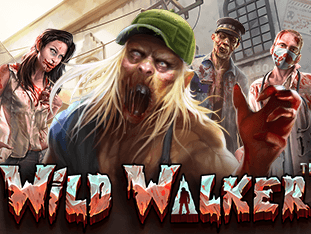 Wild Walker game cover