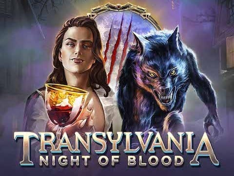 Transylvania_ Night of Blood game cover